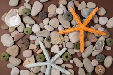 Deniz yıldızı ile arka plan