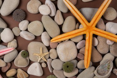 Deniz yıldızı ile arka plan