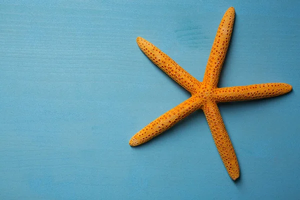 Parmak Denizyıldızı Seastar Mavi Arka Planda — Stok fotoğraf