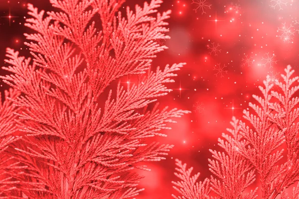 Christmas background red — Stock Photo, Image