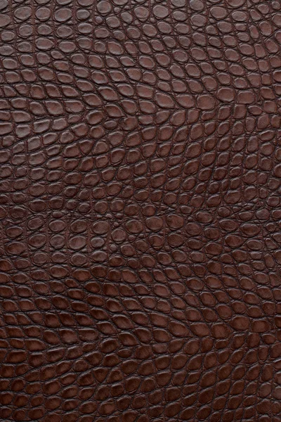 Struktura skóry krokodyla — Zdjęcie stockowe