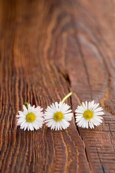 Λουλούδι σε ξύλινο φόντο — Φωτογραφία Αρχείου