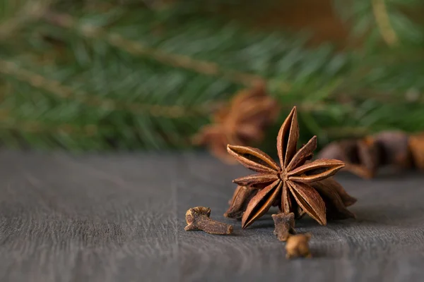 八角茴香和 fir 背景 — 图库照片