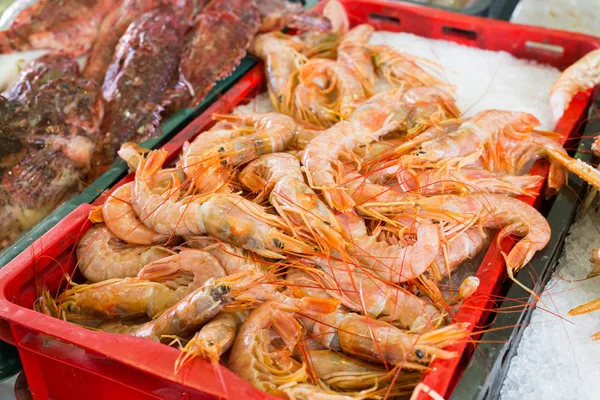 Shrimps, der Fischmarkt Stockbild