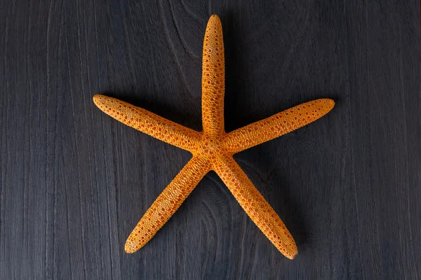 Orange starfish  on  rustic wooden boards — Stock Photo, Image