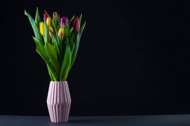 Vazonun içinde duran siyah arkaplandaki lale demeti.