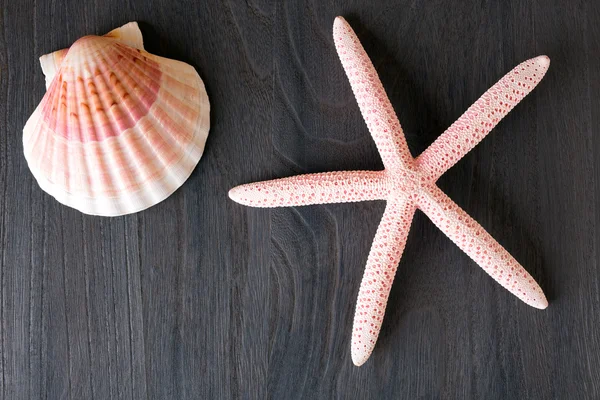 Nahaufnahme von Seesternen und Muscheln auf altem Holzbrett — Stockfoto