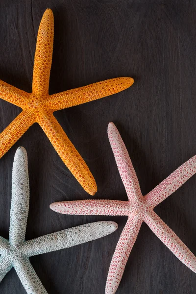 Denizyıldızı rustik ahşap kurullarında — Stok fotoğraf