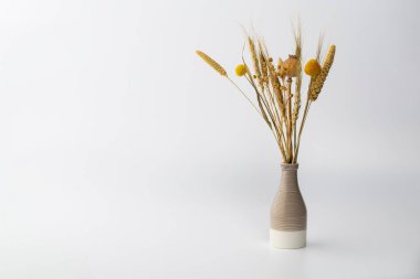 Basit bir vazo, temiz ve minimalist bir şekilde düzenlenmiş kuru çiçekleri tutar. Vazo doğal ışık altında beyaz bir yüzey üzerinde duruyor. Ayar çiçeklerin renklerini ve şekillerini vurgular.