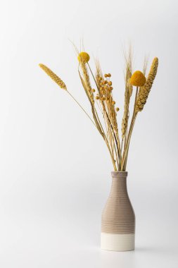 Bir vazo kurumuş çiçekleri ve sarı ve bej tonlarında sapları tutar. Düzenleme çeşitli şekil ve boyutlara sahiptir. Sahne parlak ve minimal, bitkilerin doğal güzelliğini vurguluyor..