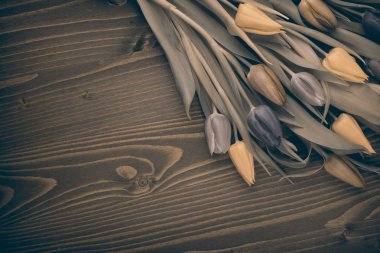 ahşap üzerine lale