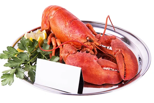 Cooked lobster — Stock Photo, Image