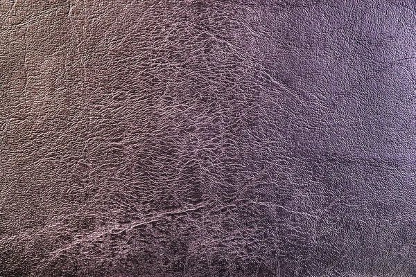 Tekstur kulit abu-abu — Stok Foto