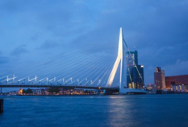 erasmus Bridge Rotterdam alacakaranlık