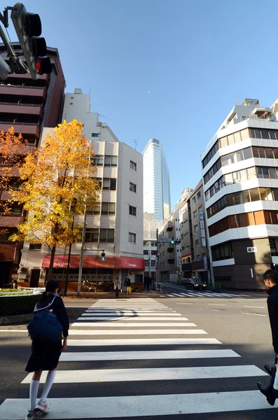 Tokio, Japonia - 26 listopada 2013: ludzie chodzą w dzielnicy shimbashi — Zdjęcie stockowe