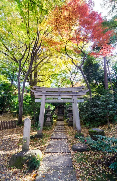 Temple traditionnel japonais dans le jardin d'automne — Photo