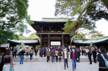 Tokyo, Japonya - 23 Kasım 2013: turist ziyaret meiji jingu Tapınağı yoyogi Parkı