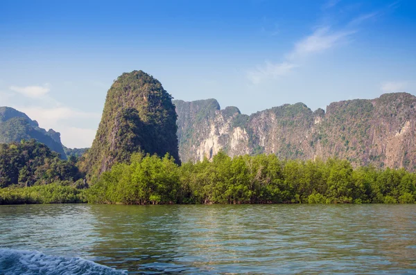 Idylický ostrov s mangrovových lesů národního parku phang nga — Stock fotografie