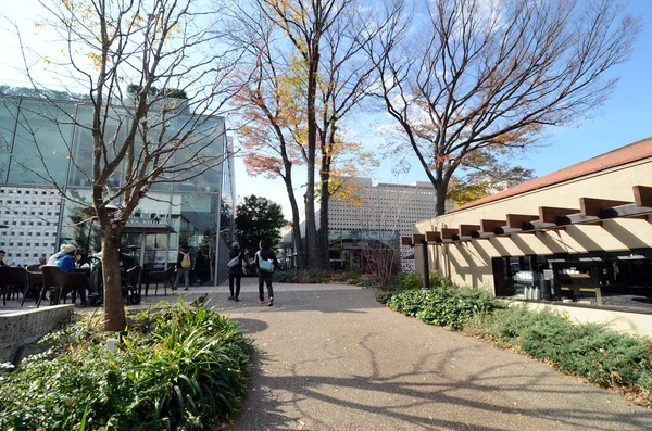Tokio, Japonia - 28 listopada 2013: Ludzie odwiedzają zewnętrzne budynku w dzielnicy Daikanyama — Zdjęcie stockowe