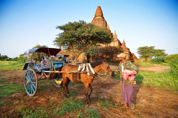 Bagan, Myanmar - 9 de octubre de 2013: Birmano con carro de pony en el valle de Bagan —  Fotos de Stock