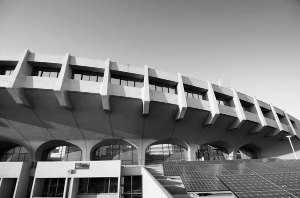 Чорно-білий тон Йойогі Національна гімназія — стокове фото