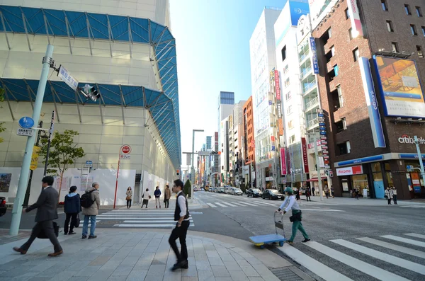 Tokio, Japonia - 26 listopada 2013: Ludzie sklepów w dzielnicy Ginza — Zdjęcie stockowe