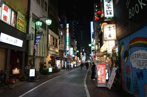 Tokyo, Japan - November 25, 2013: People visit commercial street in the Kichijoji district — Stock Photo, Image