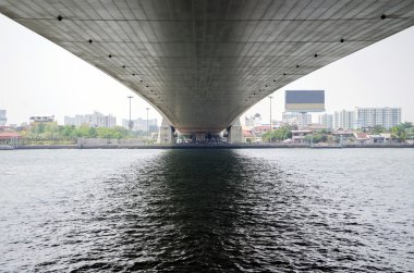 Rama VIII yansıması köprü Bangkok Chao Phraya Nehri