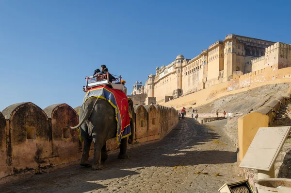 Jaipur, India - 29 Desember 2014: Gajah yang didekorasi membawa wisatawan ke Amber Fort — Stok Foto