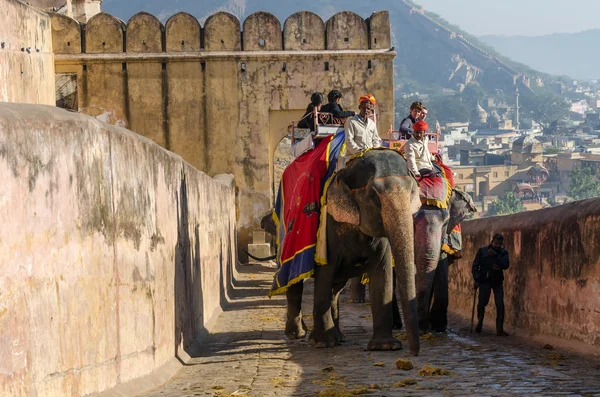 Jaipur, India - December 29, 2014: Tourists enjoy elephant ride in the Amber Fort — Stock Photo, Image