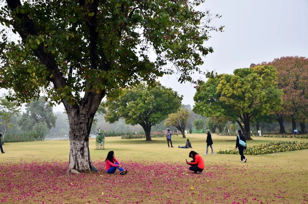 Chandigarh, Índia - 4 de janeiro de 2015: Visita turística Zakir Hussain Rose Garden em Chandigarh, Índia . — Fotografia de Stock