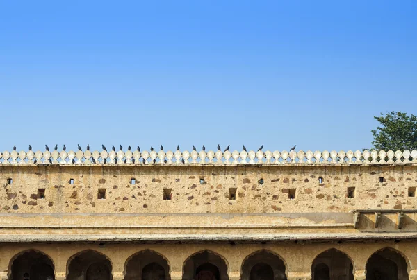 Vogel bei chand baori stepwell in Jaipur — Stockfoto