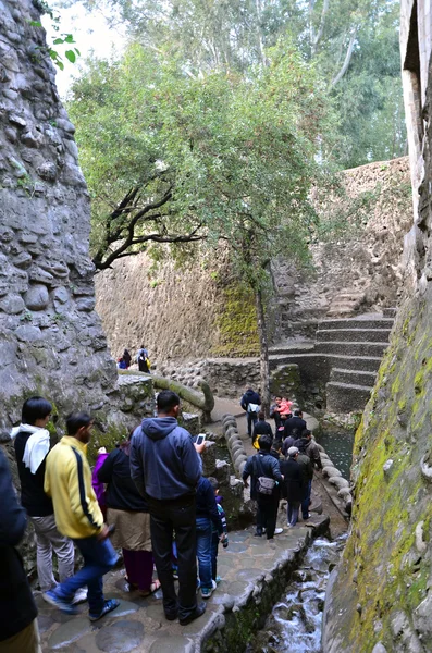 昌迪加尔，印度-2015 年 1 月 4 日: 旅游参观岩石雕像在昌迪加尔的岩石花园 — 图库照片