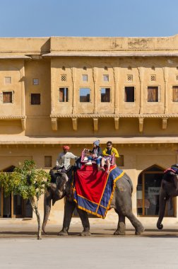 Jaipur, Hindistan - 29 Aralık 2014: Amber Fort Jaipur şehrinde turistlere dekore edilmiş fil taşır