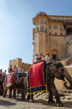 Jaipur, Hindistan - 29 Aralık 2014: Turist Amber Fort fil binmek zevk