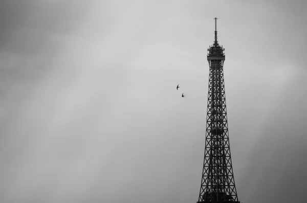 Eiffel torony Párizsban — Stock Fotó