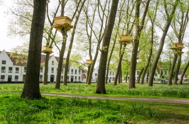 Bruges Beguinage bahçesinde ağaç evler