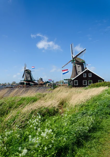 Zaanse Schans, Pays-Bas . — Photo