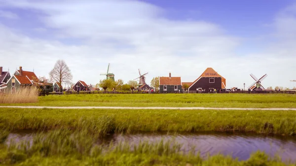 Větrné mlýny a venkovské domy v Zaanse Schans. Tilt-shift efekt — Stock fotografie