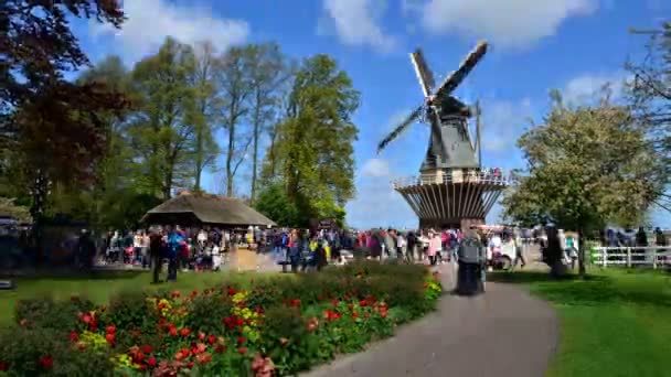 Lisse, Holanda - 7 de mayo de 2015: Antiguo molino de viento con mucha gente en el famoso jardín de Keukenhof . — Vídeos de Stock