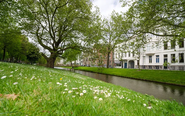 Westersingel Street near Museumpark in Rotterdam — Stock Photo, Image