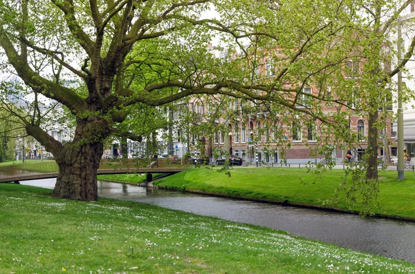Beautiful Westersingel Street near Museumpark in Rotterdam — Stockfoto