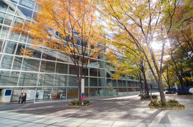 Tokyo, Japonya - 26 Kasım 2013: dış tokyo Uluslararası Forumu