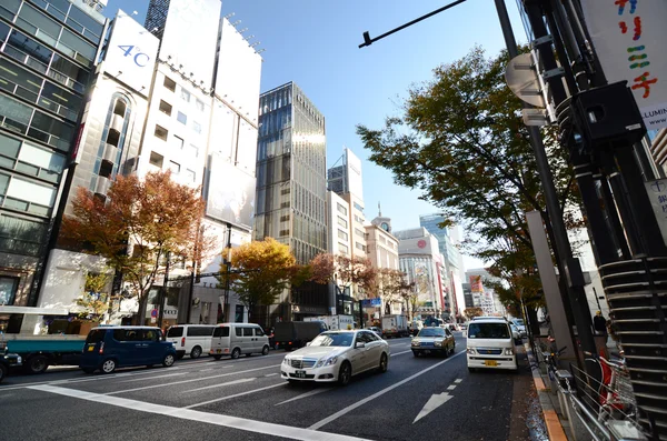 Tokio, Japan - 26. November 2013: Menschen shoppen im Ginza-Bereich — Stockfoto