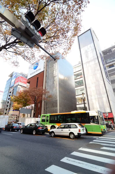 东京，日本-2013 年 11 月 26 日: 人在银座地区购物 — 图库照片