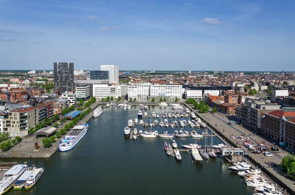 Båtar förtöjda i Willem Dock i Antwerpen, Belgien. — Stockfoto