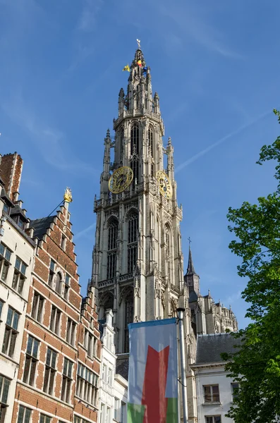 Tower of Cathedral of Our Lady in Antwerp — 图库照片