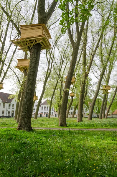 Tree Houses in the Beguinage (Begijnhof) Garden in Bruges — Stock Photo, Image