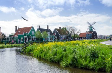Zaanse Schans, Netherlands - May 5, 2015: Tourist visit Windmills and rural houses in Zaanse Schans