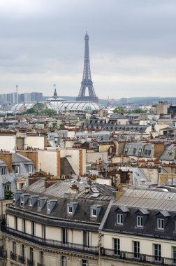 Roofs of Paris and Eiffel Tower  clipart